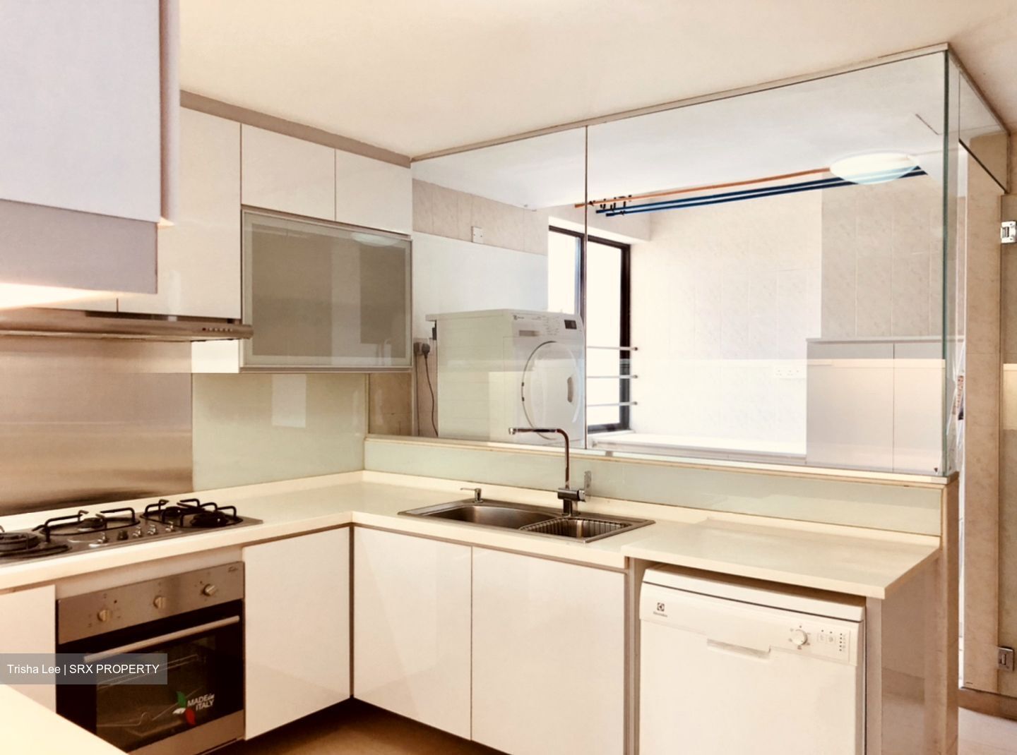 Sommerville Park (D10), Condominium #572693321